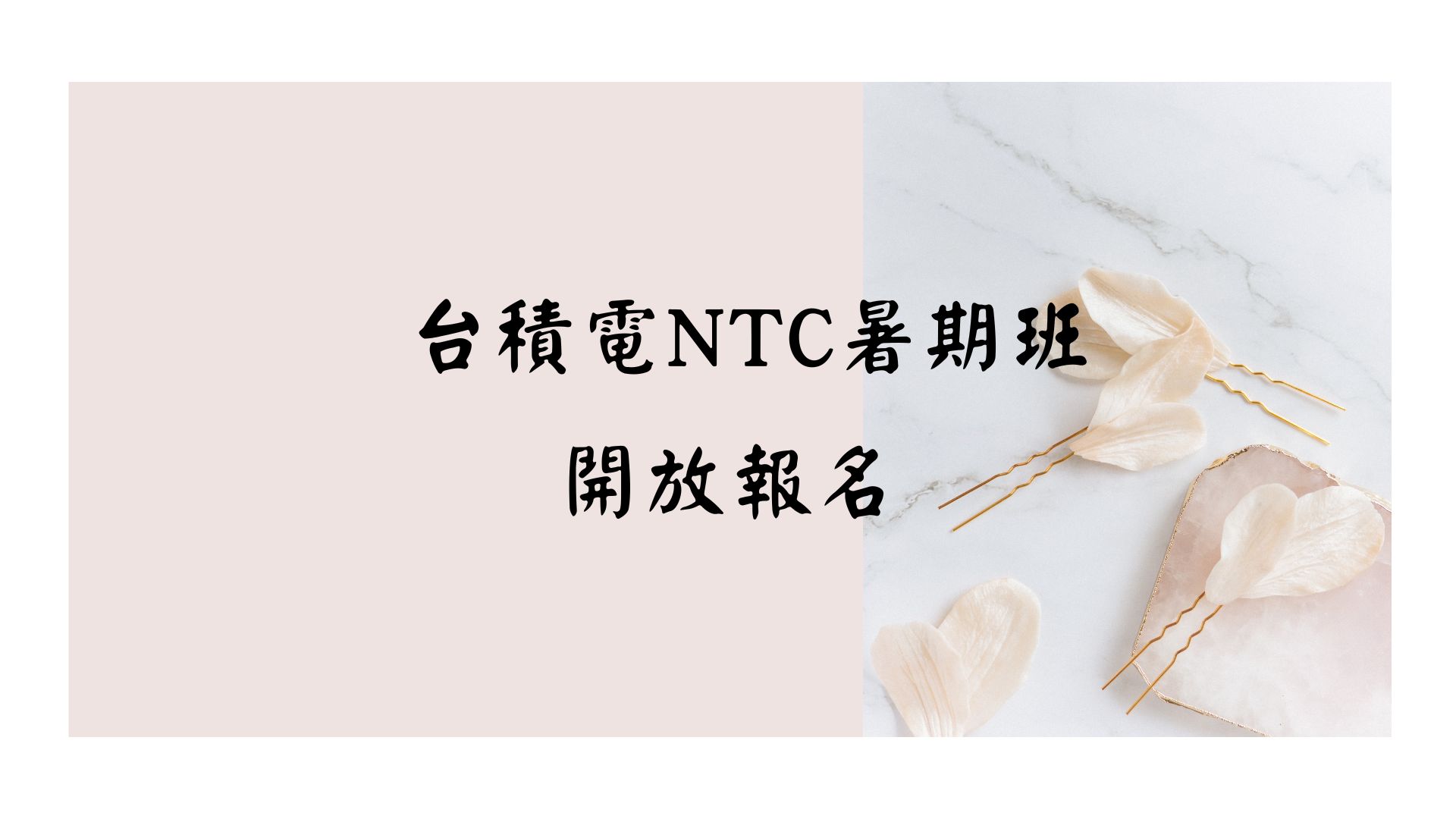 【轉知】台積電NTC暑期班開放報名