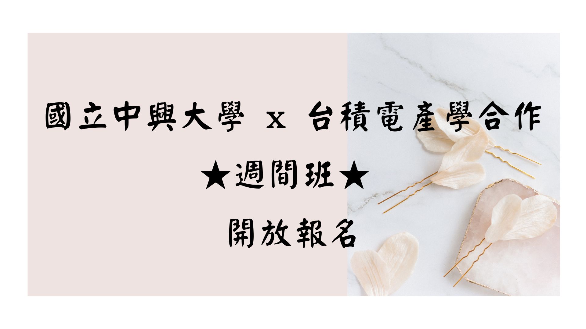 【國立中興大學 x 台積電產學合作  ★週間班★ 開放報名】
