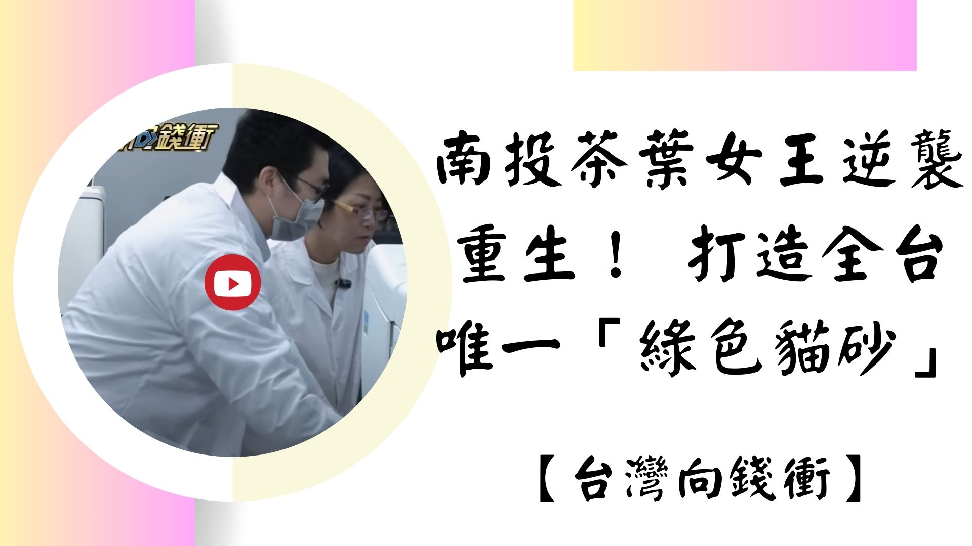 【影音分享】南投茶葉女王逆襲重生！ 打造全台唯一「綠色貓砂」 20250510【台灣向錢衝】